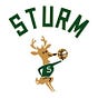 Bob Sturm's avatar