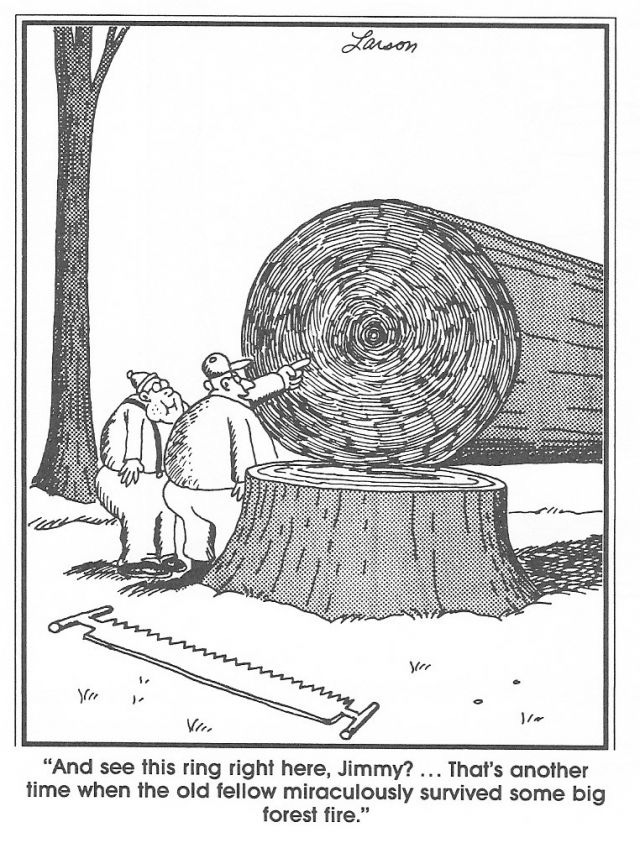 I kept saying this every time we passed a fallen tree