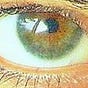 HopeSpringsATurtle's avatar