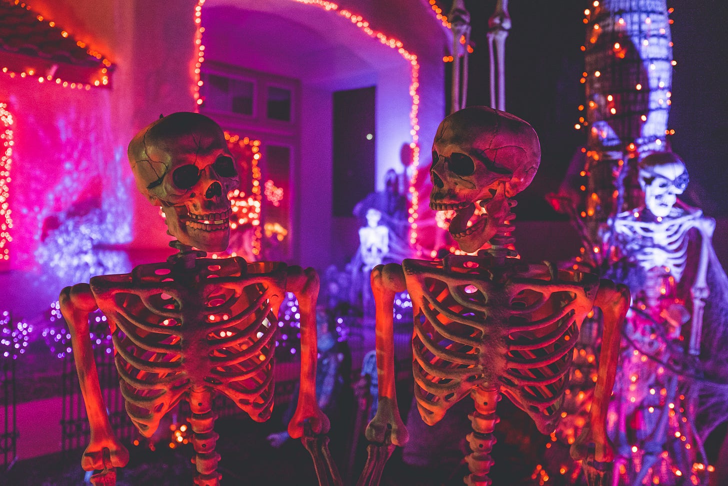 Two skeletons lit by orange and pink lights. Halloween decorations and more skeletons in the background. Two skeletons lit by orange and pink lights. Halloween decorations and more skeletons in the background.