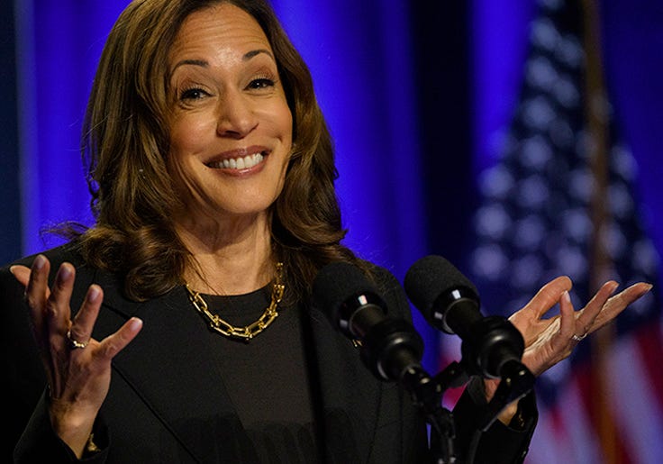 freebeacon.substack.com