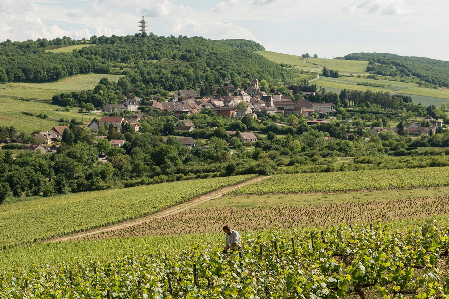 Domaine A. & P. de Villaine