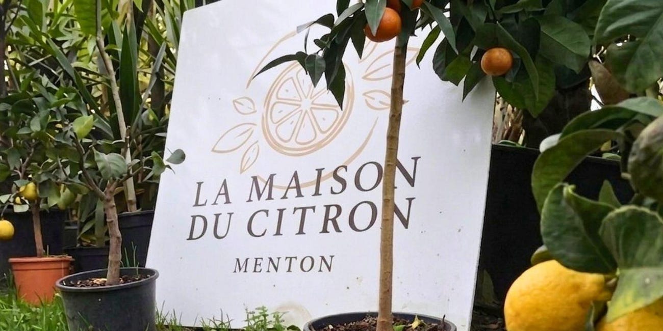 Pucker Up: A Town Built on Lemons