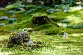 Sanzen-in | Discover Kyoto