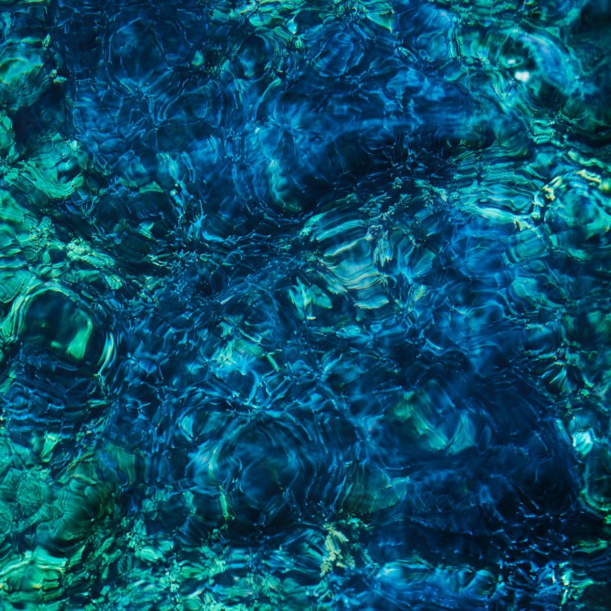 Luminescent Creatures - Album by Ichiko Aoba - Apple Music