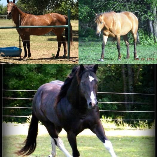 No photo description available.