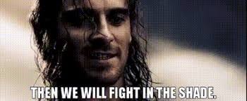 YARN | Then we will fight in the shade. | 300 (2007) | Video gifs by quotes  | e0df4d4c | 紗