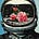 Strung Out on Plenitudes's avatar