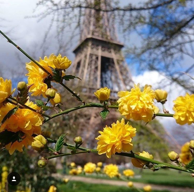 Paris Paris