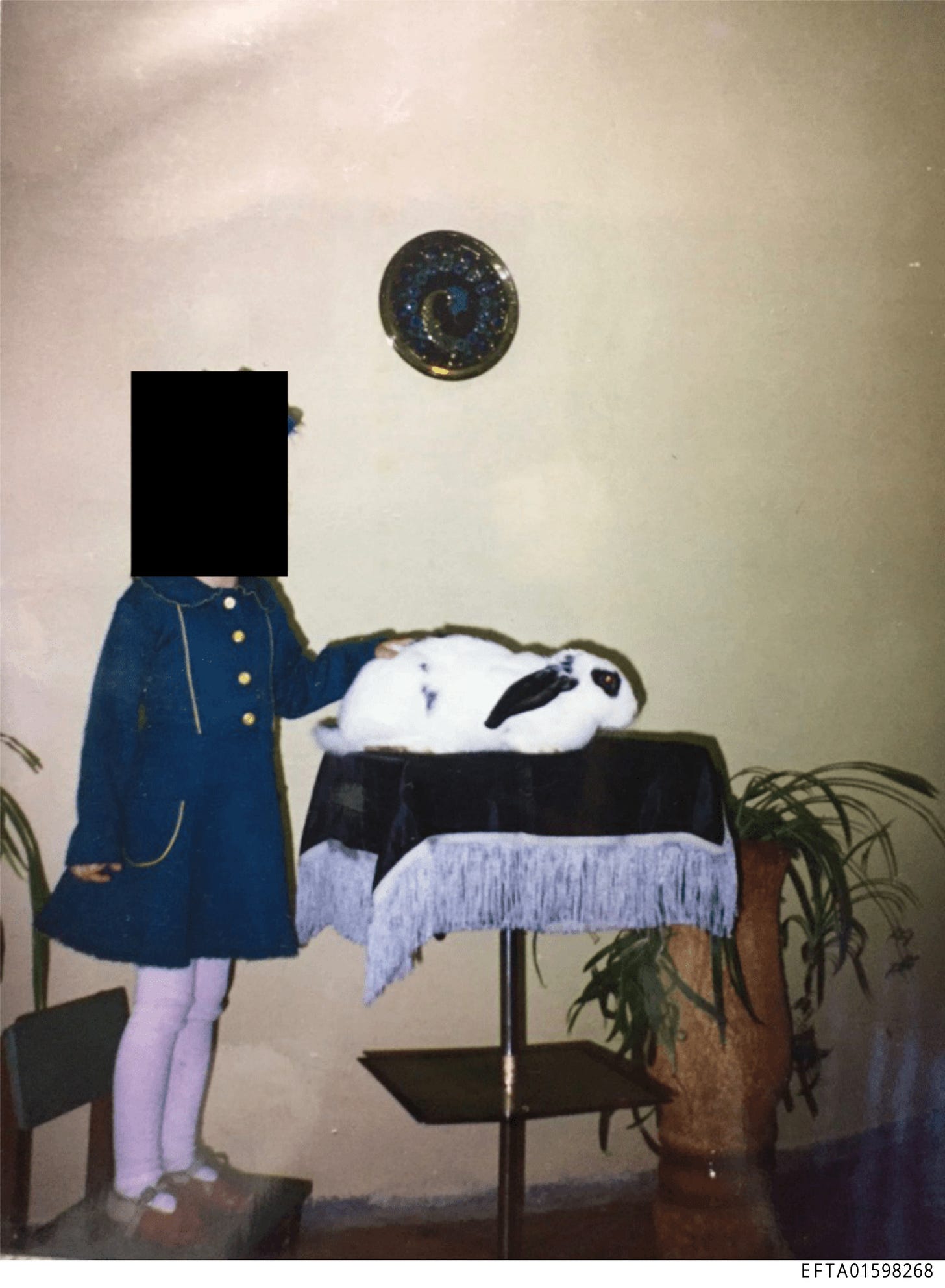 EFTA01598268-0.png