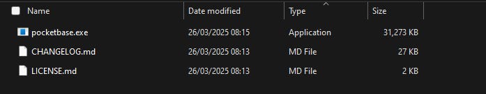 Extracted PocketBase files on Windows