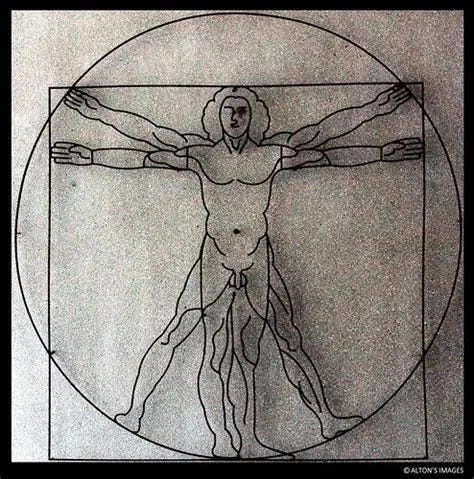 Vitruvian Man | Tainan Women's College of Arts & Technology … | Flickr Vitruvian Man | Tainan Women's College of Arts & Technology … | Flickr