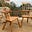 Ecological Woodworking's avatar