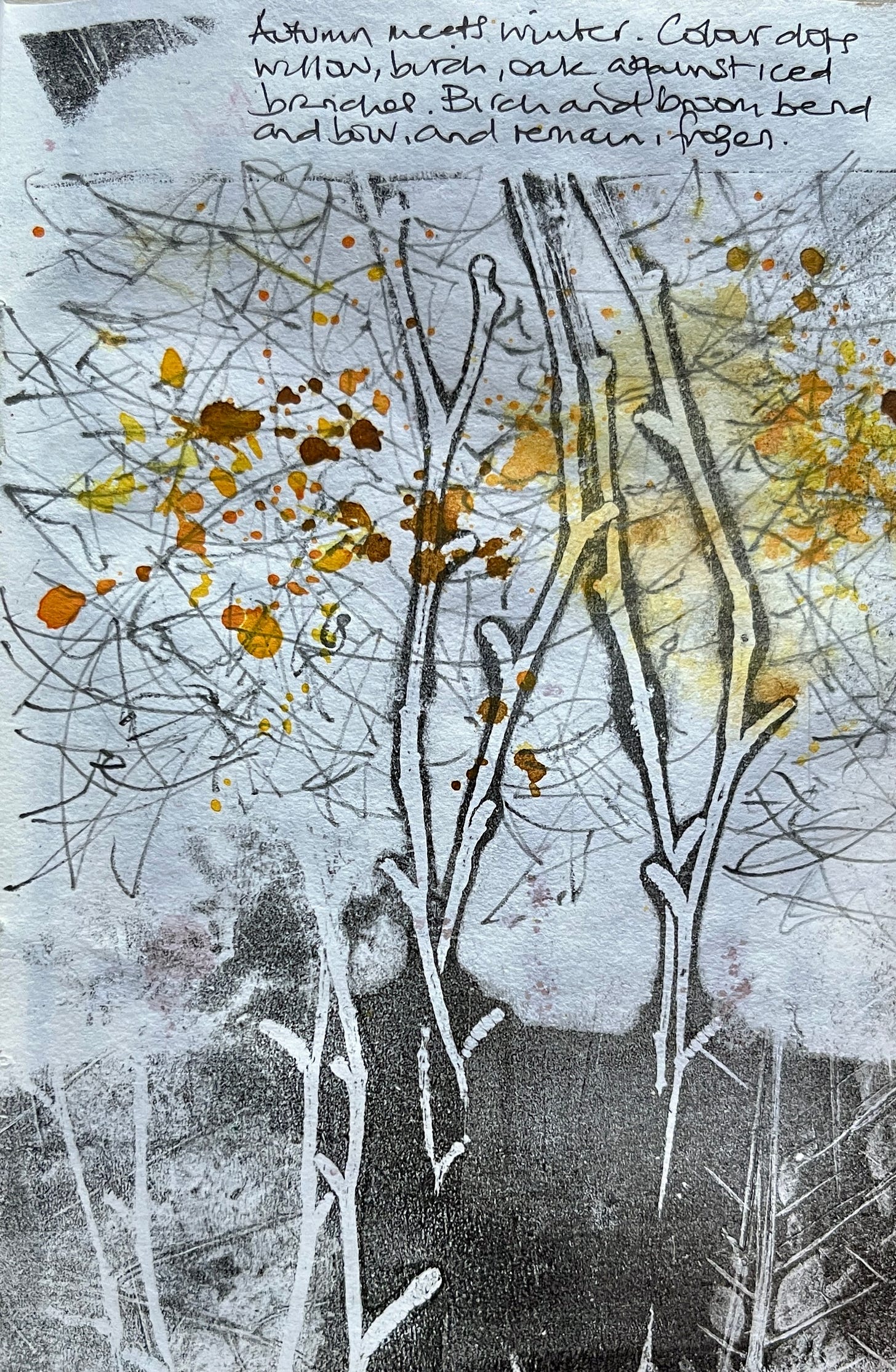 Sketch of birch trees with delicate line work, their last leaves painted with strokes of copper and gold against the white snow. Sketch of birch trees with delicate line work, their last leaves painted with strokes of copper and gold against the white snow.