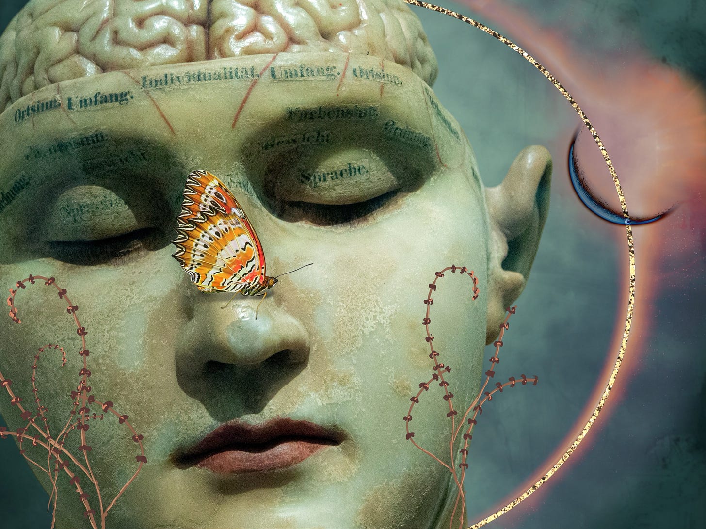 A digital collage of an antique anatomical model head with open brainpan. Their face is sublime and restful. They have a butterfly on their nose. Vines and a crescent moon decorate the picture