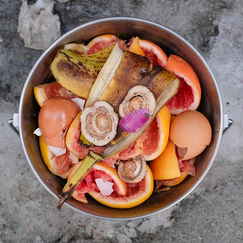 Triptych: Three buckets of compost filled with orange and grapefruit skins
