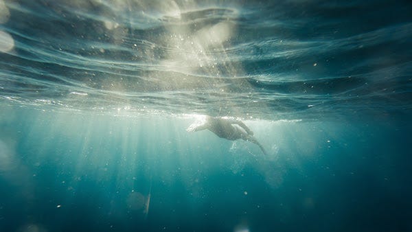 5 ways to celebrate the ocean