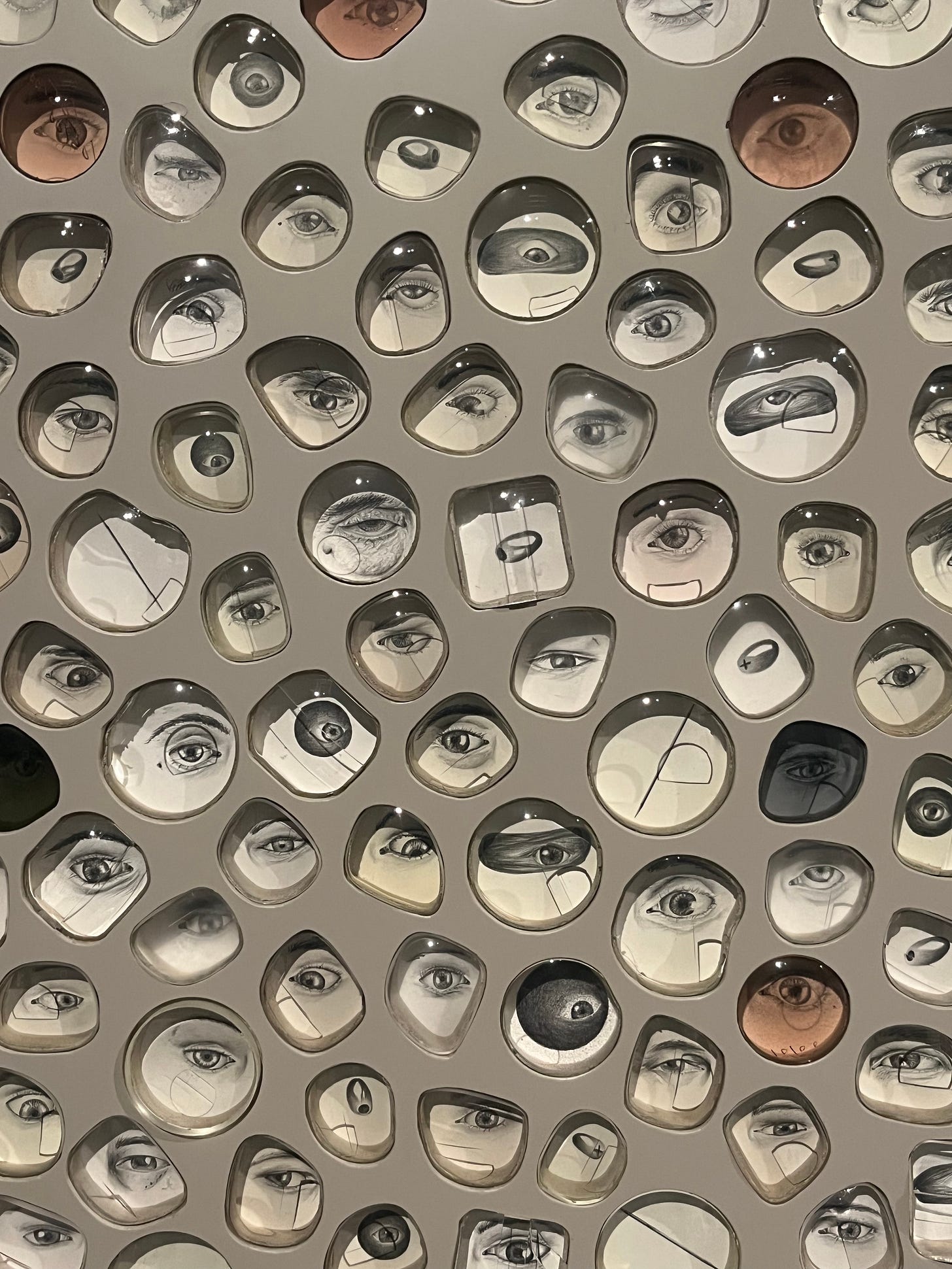 Photorealistic drawings of eyes and olives are set into a wall. Each drawing of a singular eye or olive is covered in a plastic lens.