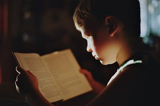 Young boy reading a book