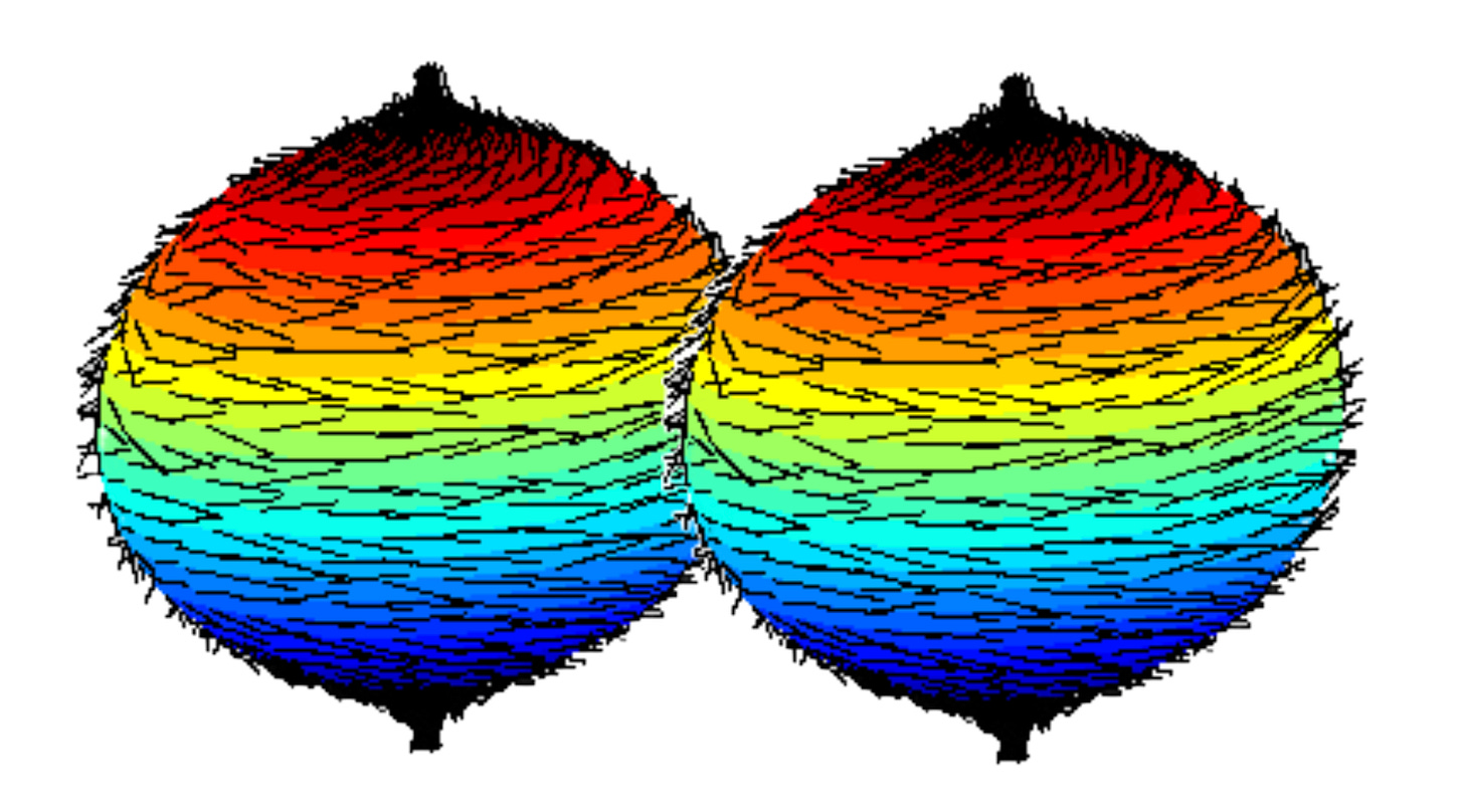 Two of the "hairy balls" right next to each other