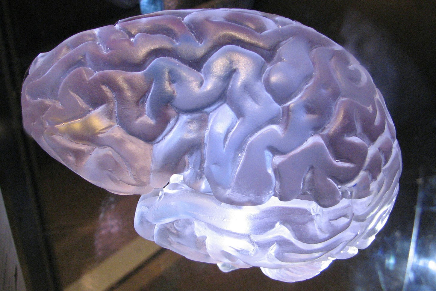 a glowing purple human brain in a case