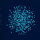 What separates quality businesses from the rest