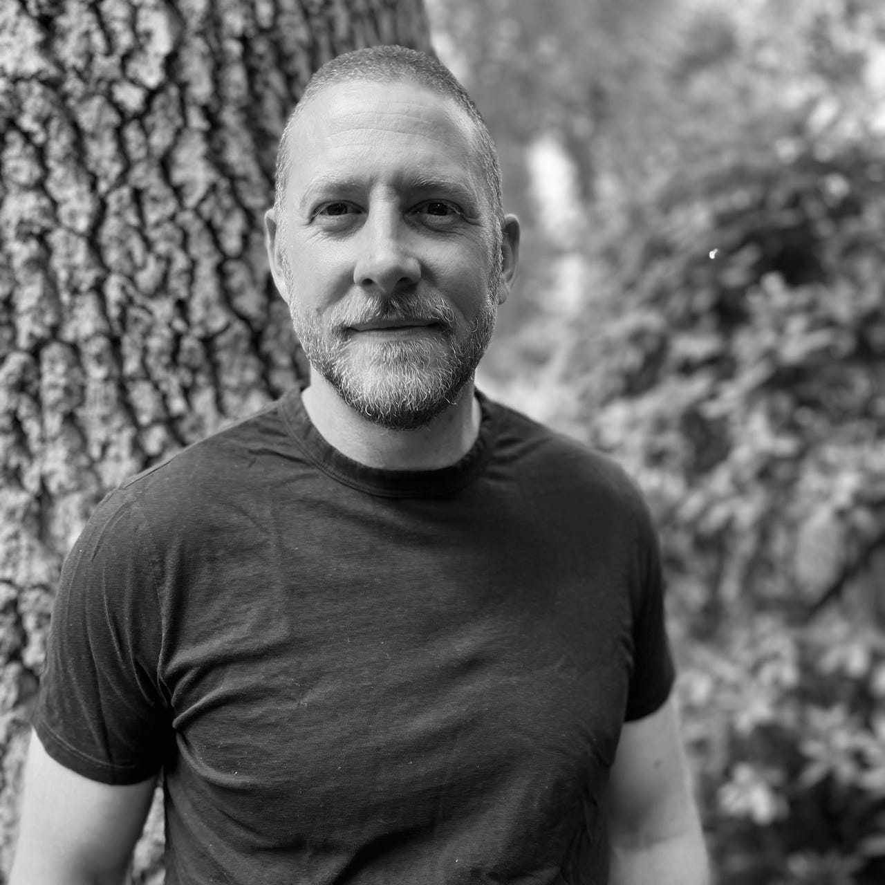 Confluence Formation