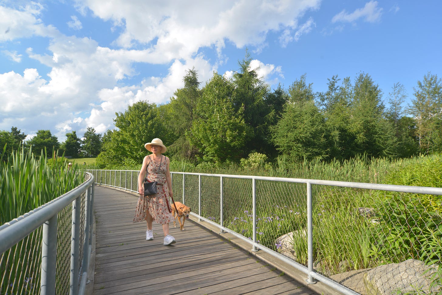 Woman and dog on a footbridge Woman and dog on a footbridge
