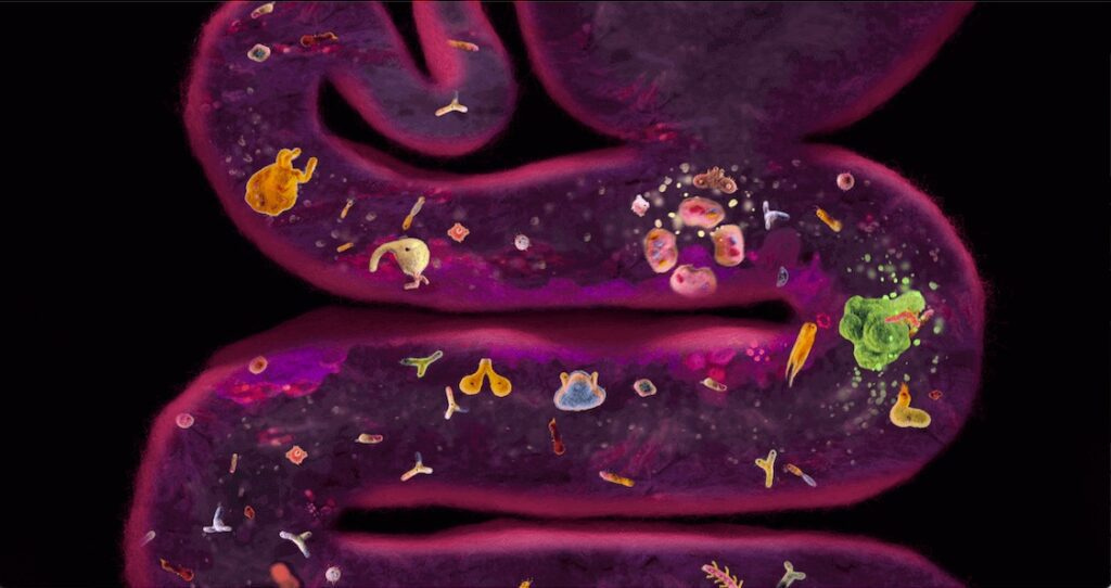 Netflix Hack Your Health microbiome