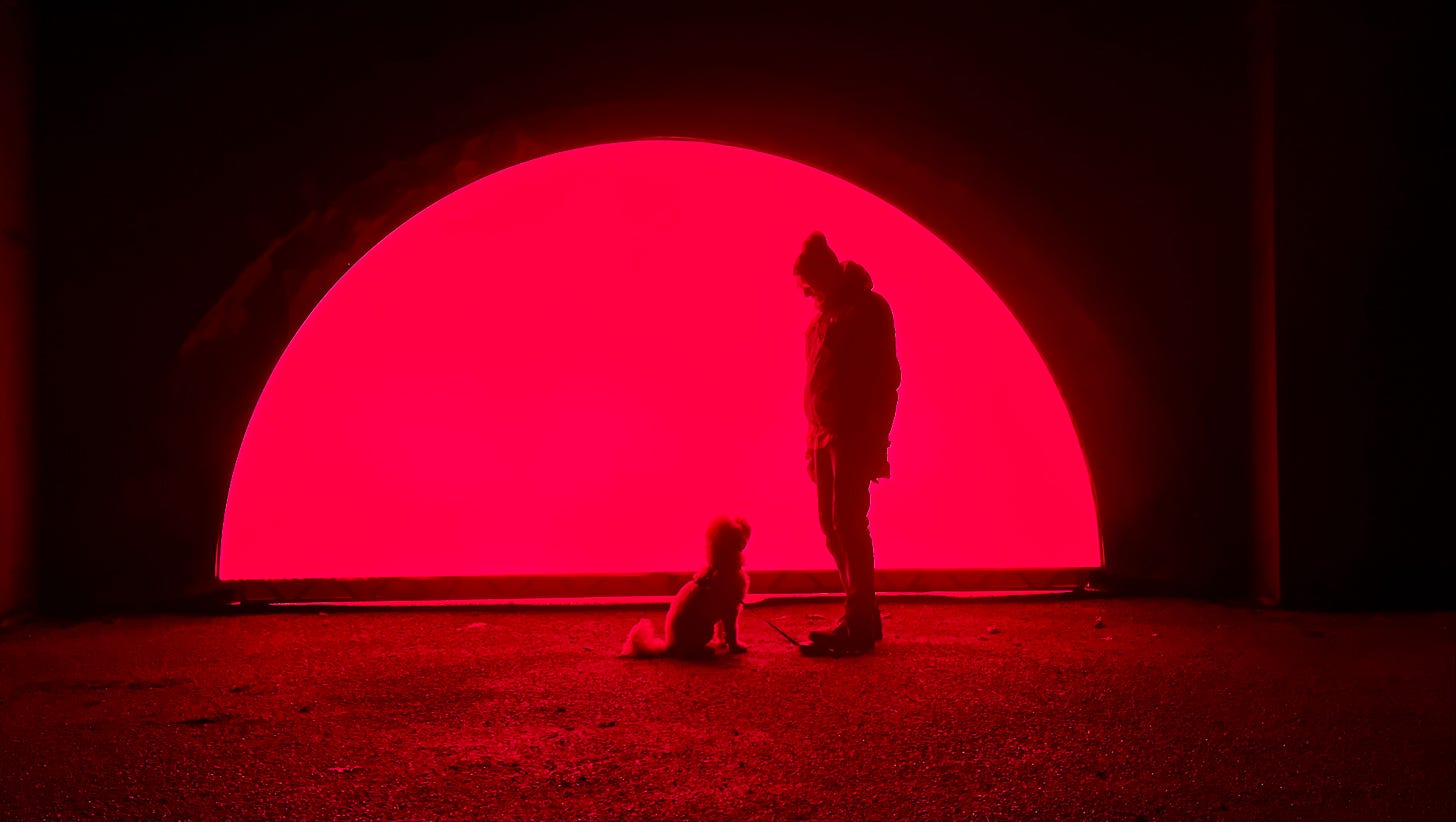 the silhouette of a man with a dog in front of a large, brightly-lit hemisphere set into a dark wall