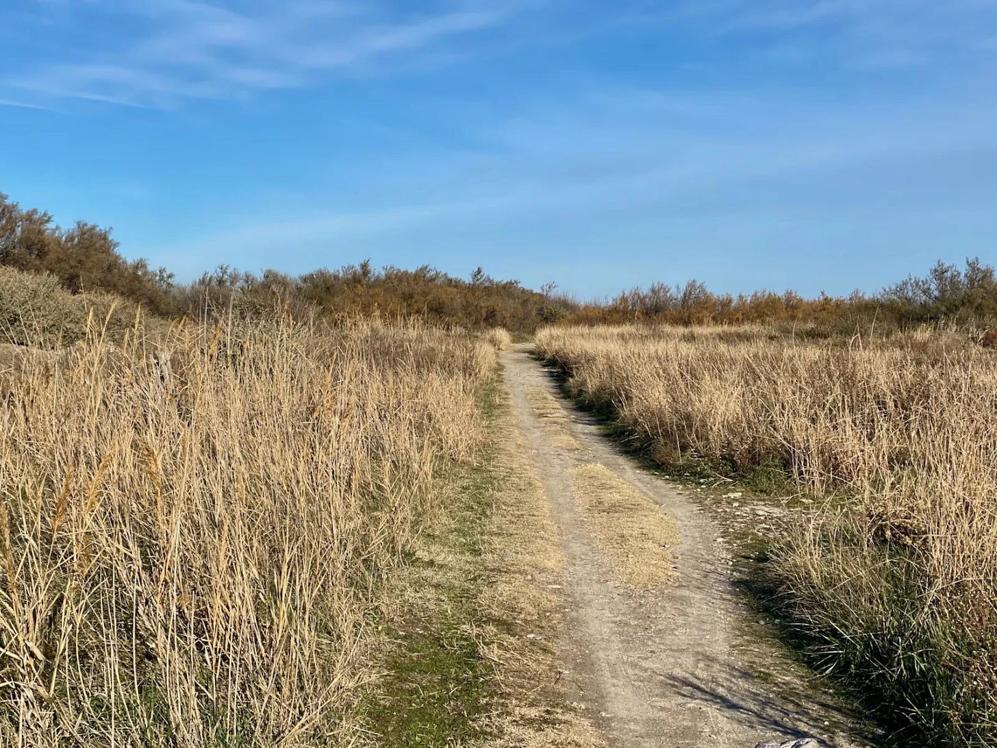 Voyager ou pédaler ?