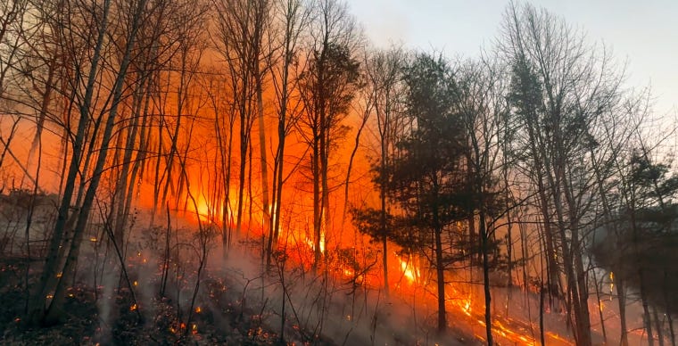 fire burning along mountain side 