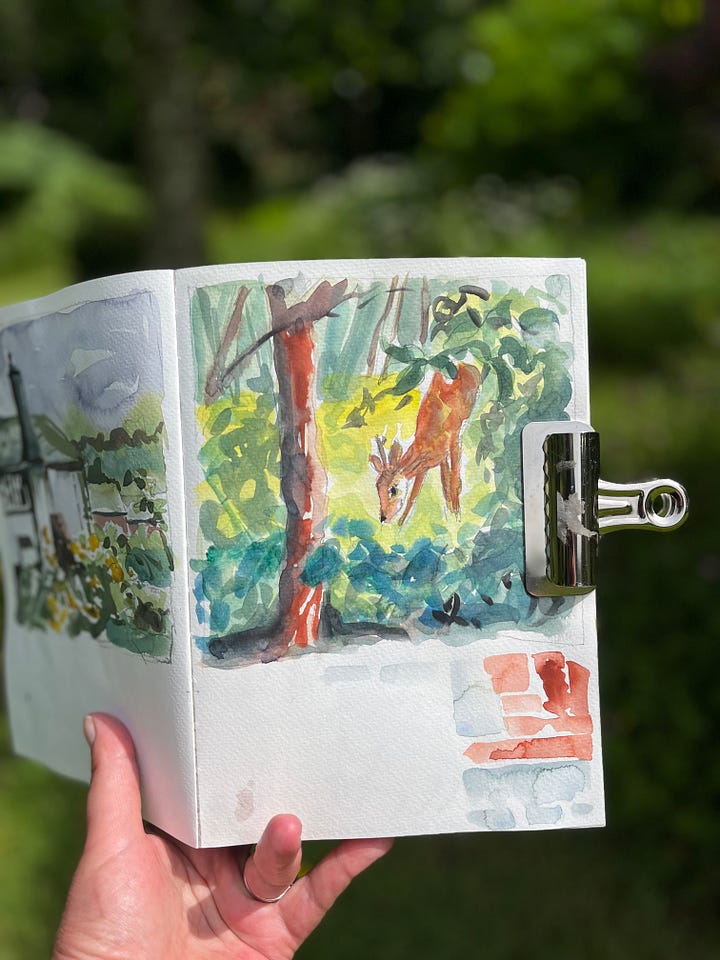 A photograph and a sketch of a deer