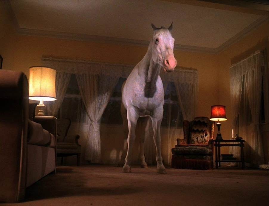 A horse standing in a room
AI-generated content may be incorrect. A horse standing in a room
AI-generated content may be incorrect.