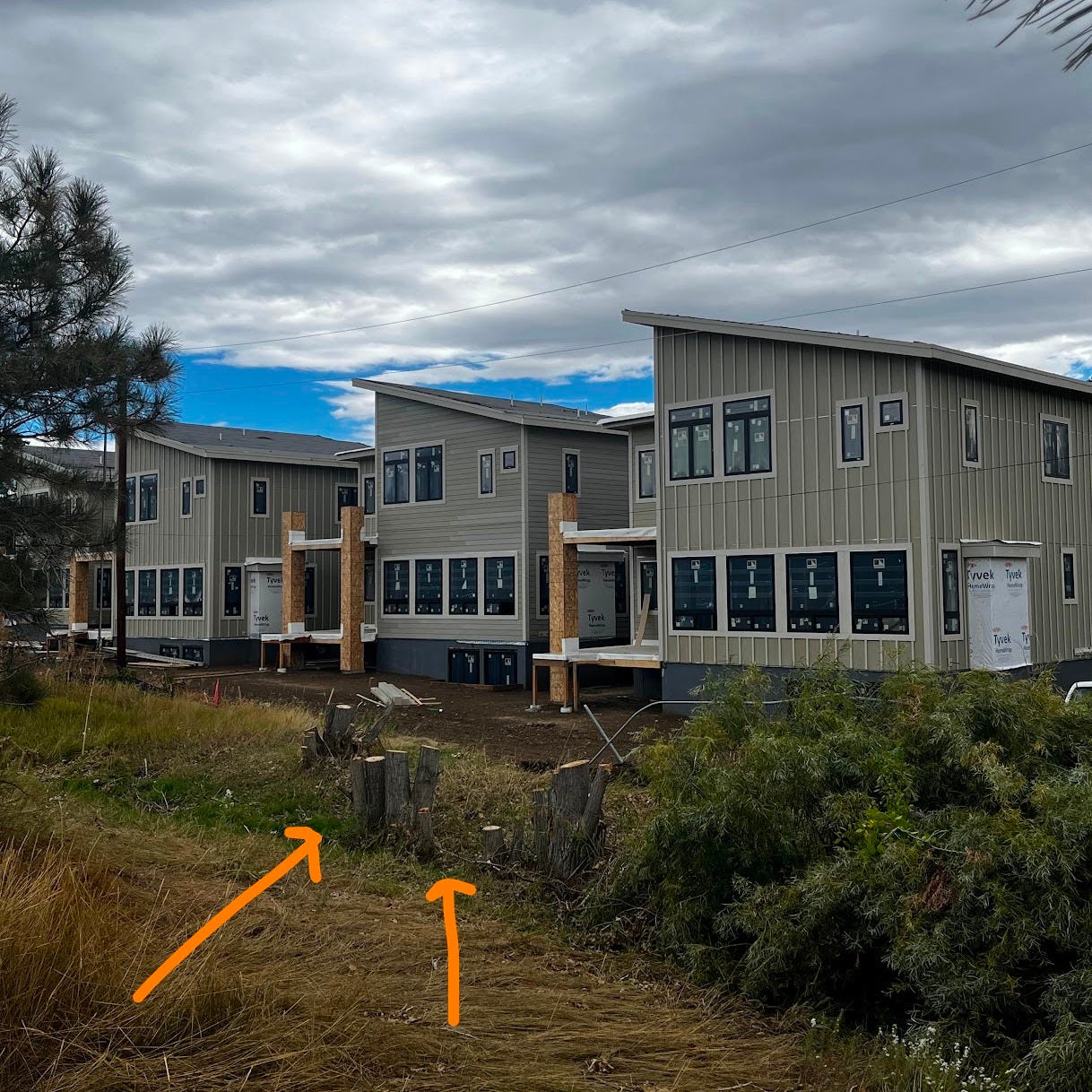 three  newly built houses with several large cut down tree trunks in front of them