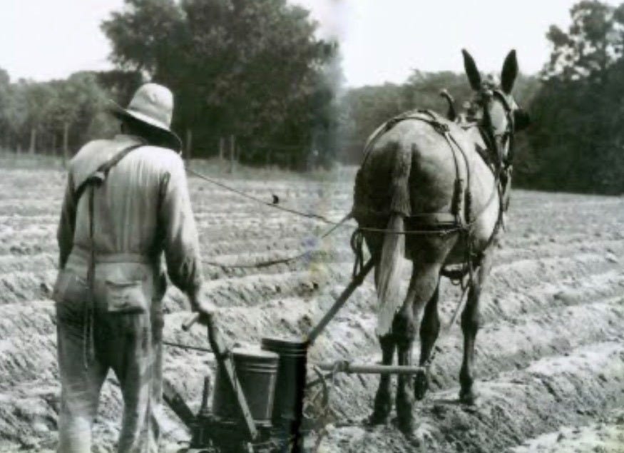 &ldquo;&hellip;forty acres and a mule&hellip;&rdquo;