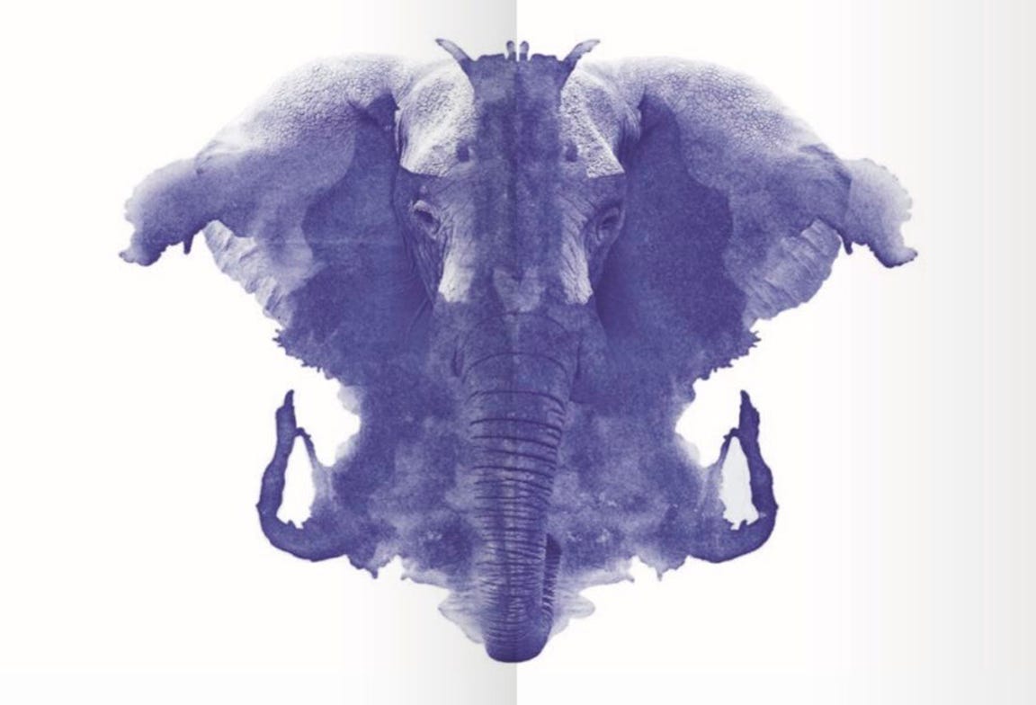 The Elephant in the Brain - The Haven