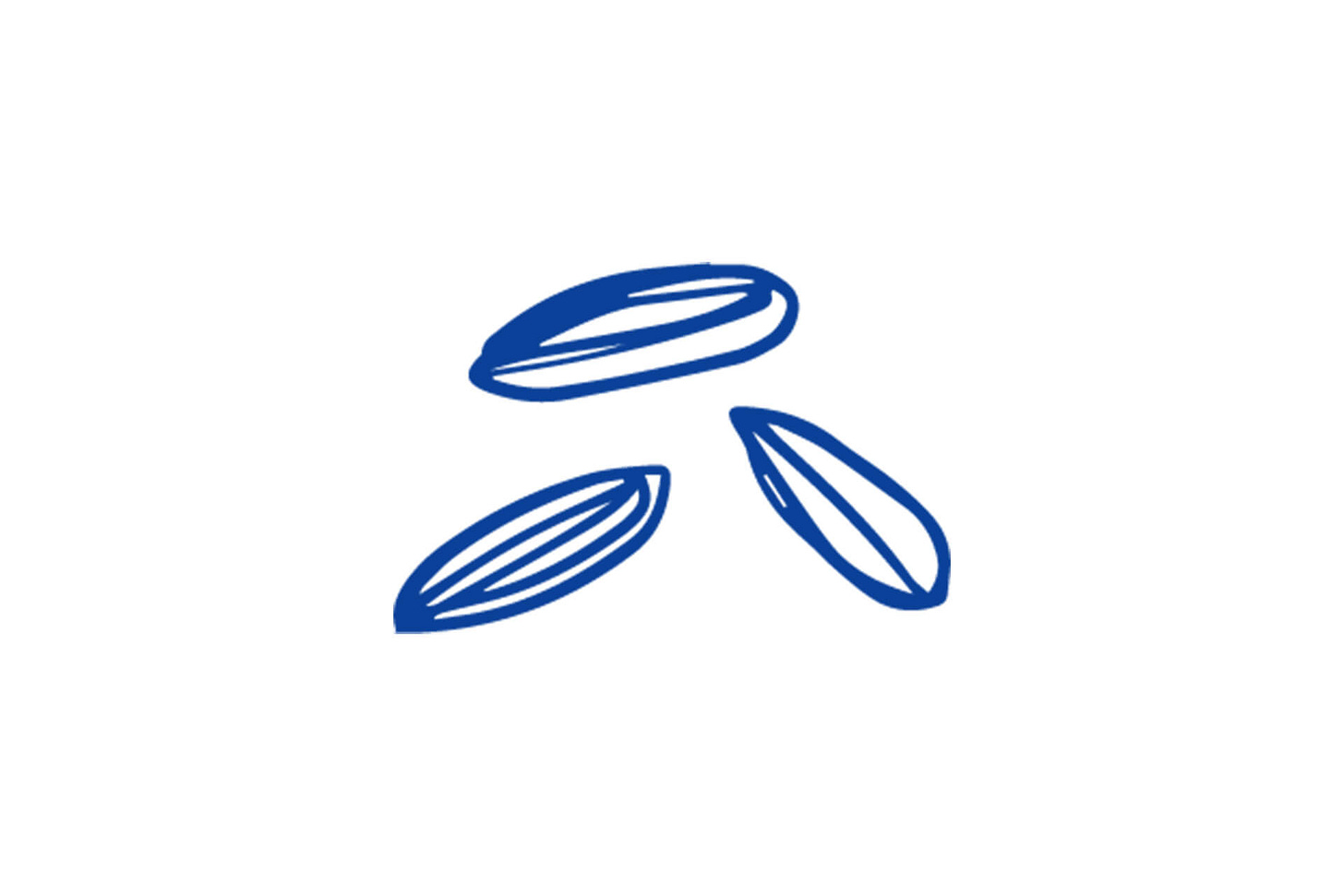 sketch of three seeds