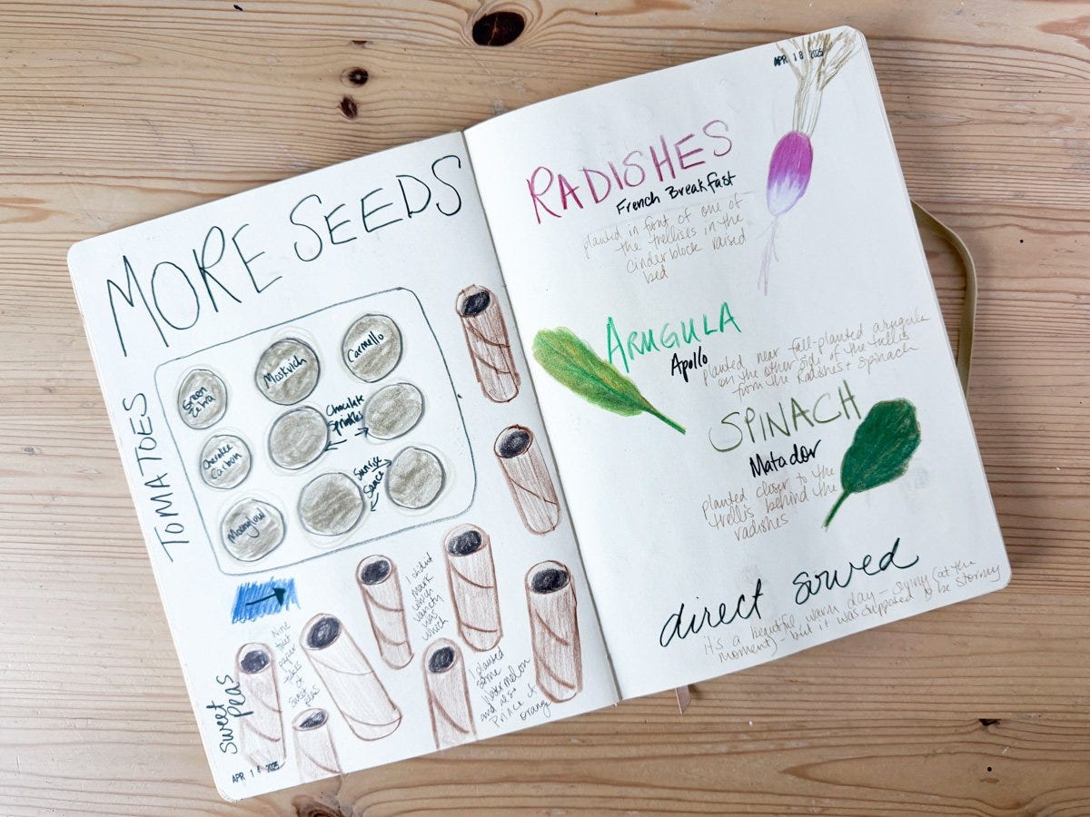 A playful spread from artist Anne Butera's garden journal