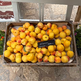 the wisdom found in childhood