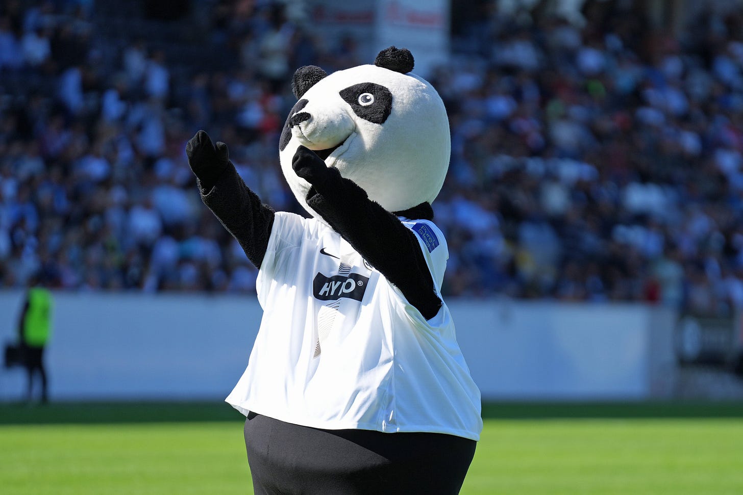 SVE-Maskottchen Paul – der Panda über den Spielalltag, seine Highlights und  Probleme (mit Fotos)