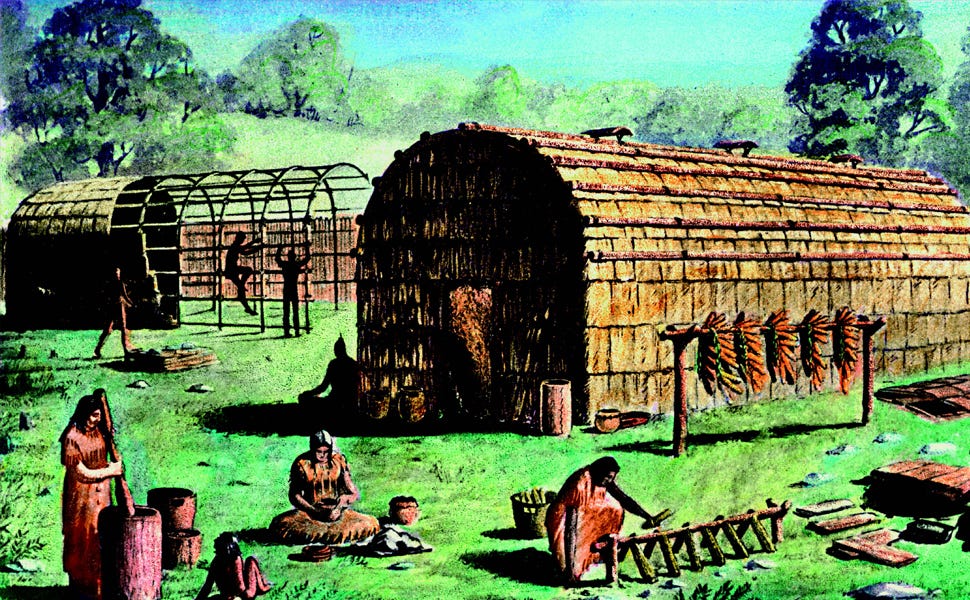 Iroquois: People of the Longhouse: Johnson, Michael: 9781770852181:  Amazon.com: Books