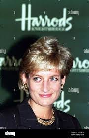 Diana princess of wales 1996 portrait ... Diana princess of wales 1996 portrait ...