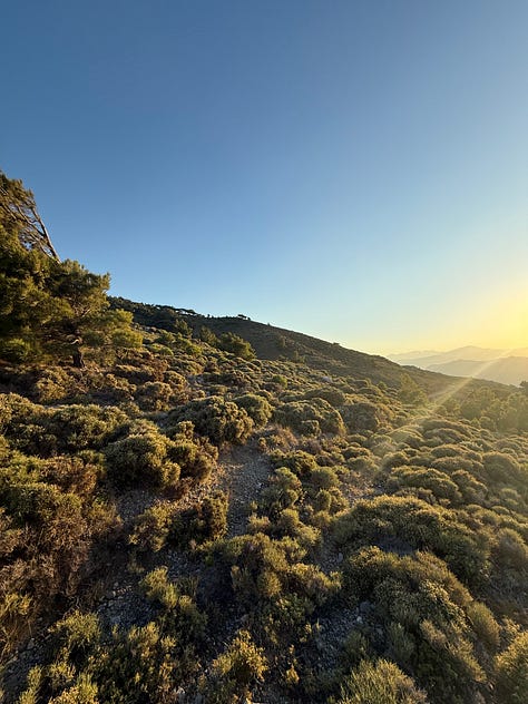 A series of photos of the village of Agios Ioannis, Crete