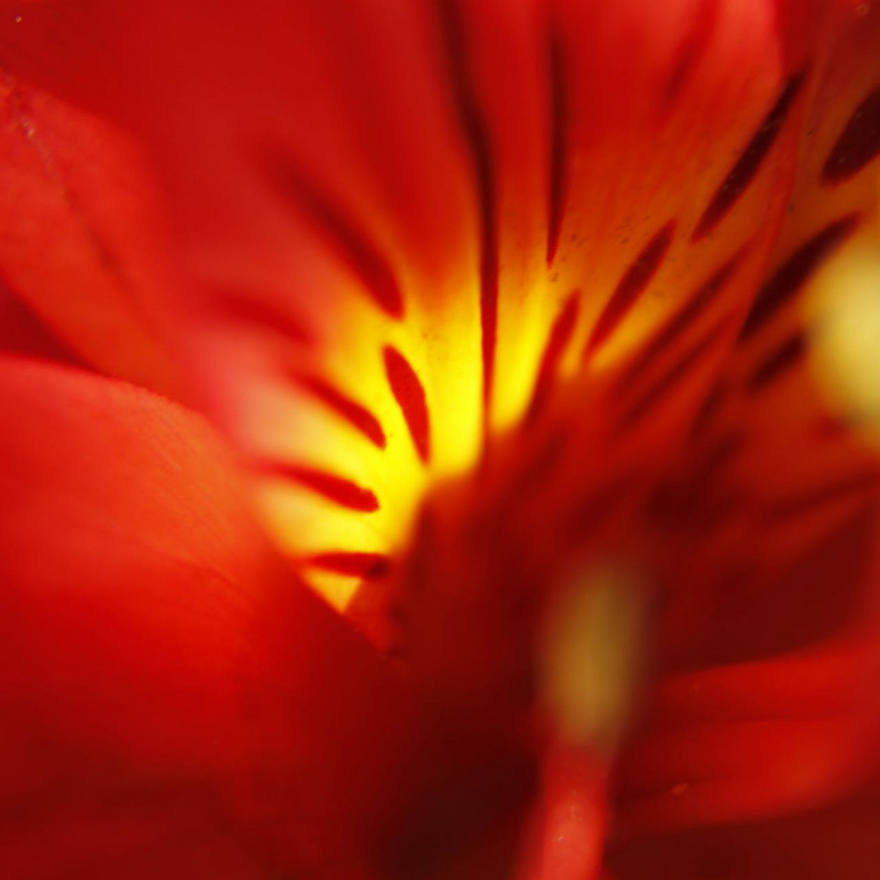 Delights with Rebecca