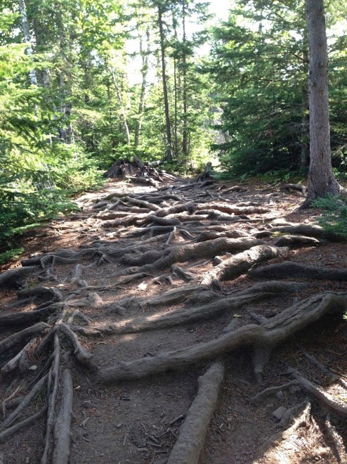 on-the-trail