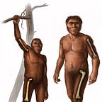 Anthropology.net