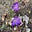Mary Hood Ketchersid's avatar