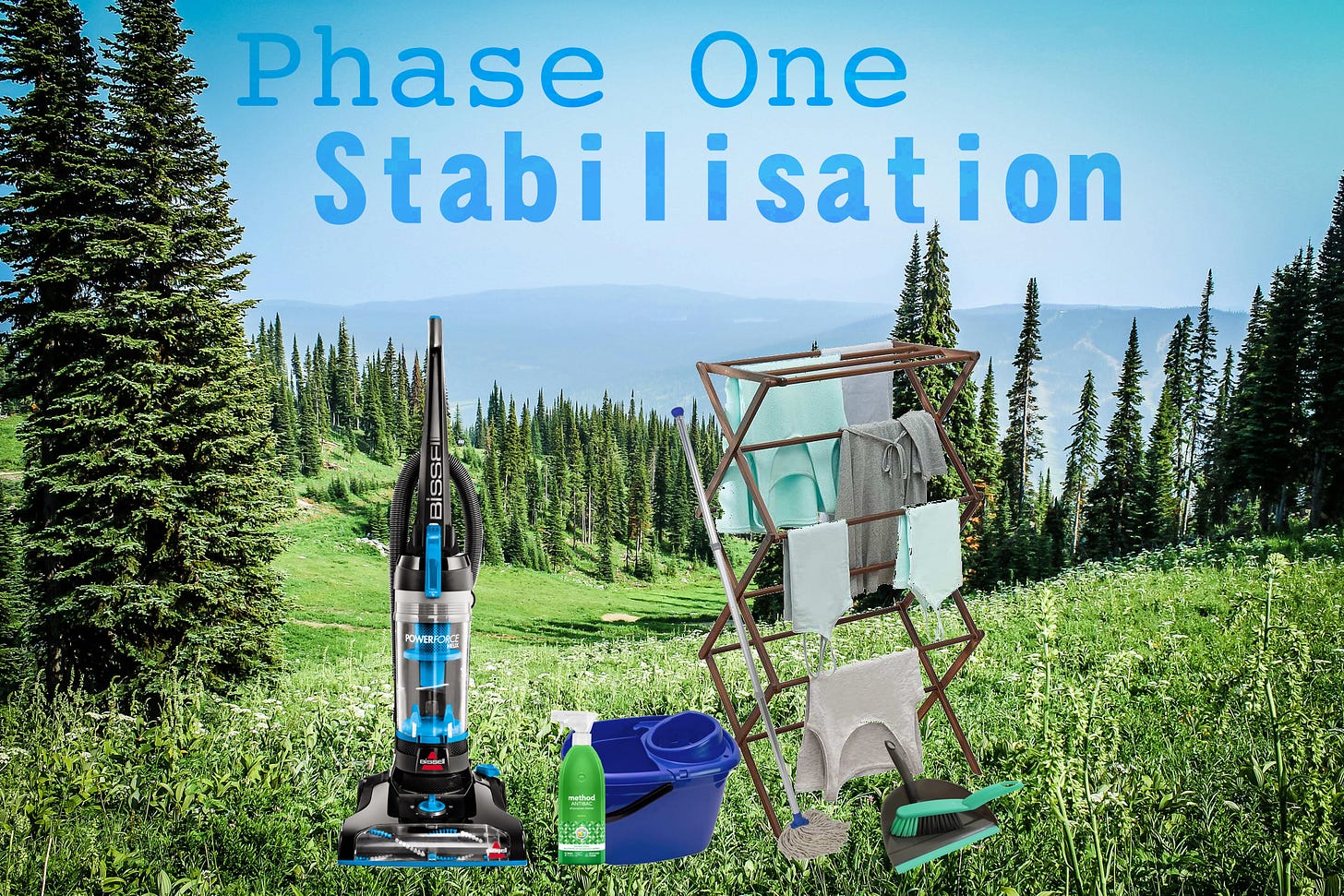 An alpine meadow flanked by pine trees. In the foreground - pasted images of a hoover, a mop and bucket, cleaning spray an clothes horse and a dustpan and brush. In the sky, the words: Phase One, stabilisation.
