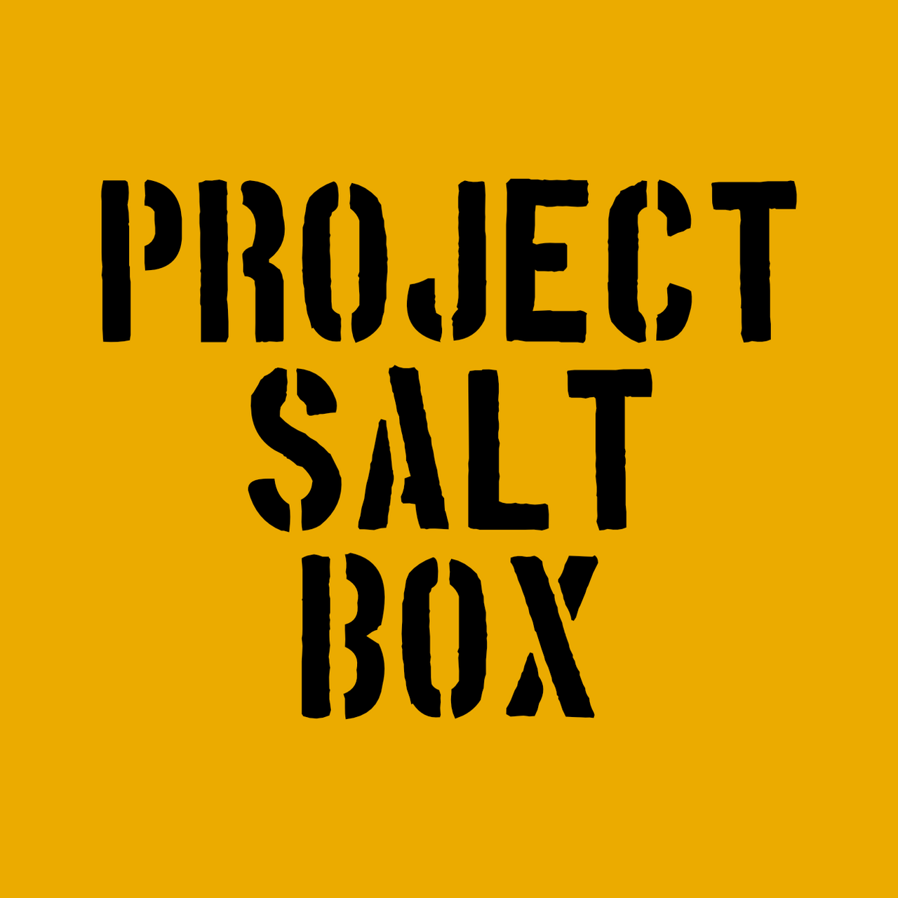 Project Salt Box logo